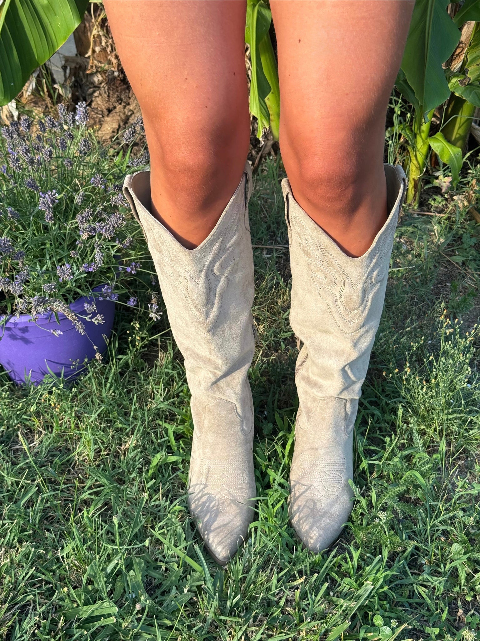 SANTIAGS PALOMA - TAUPE