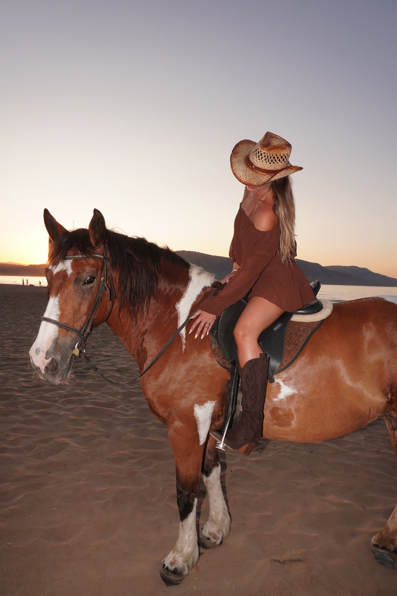 SANTIAGS CLARA - MARRON